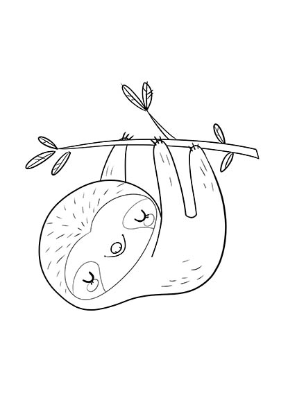 1.sloth-perezoso sample